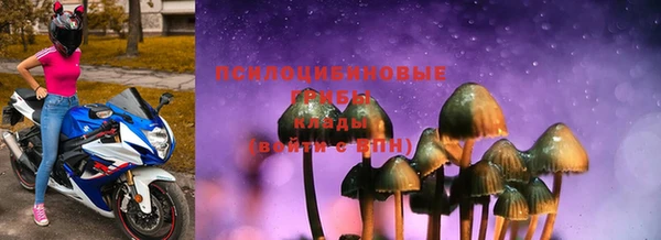 круглые Белокуриха