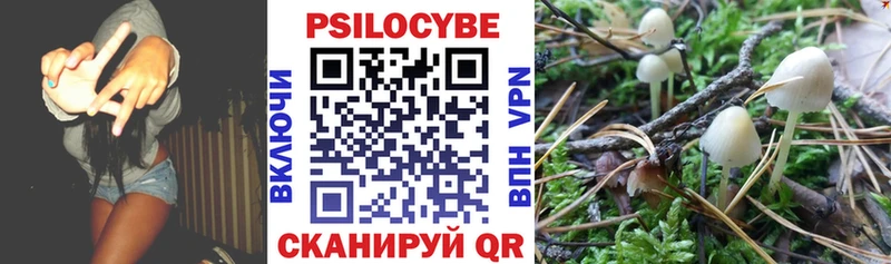 хочу наркоту Кыштым Галлюциногенные грибы Magic Shrooms